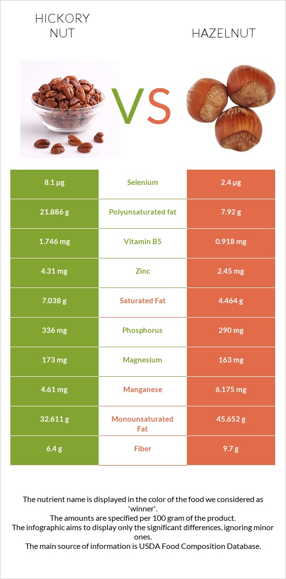 Hickory nut vs Hazelnut infographic