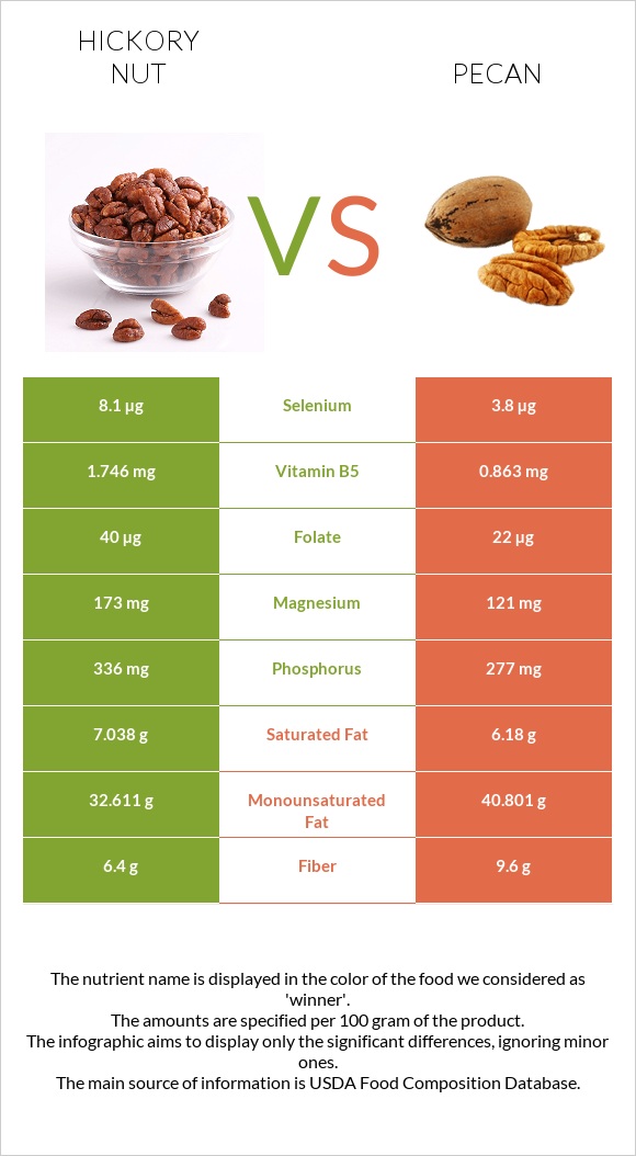 Hickory nut vs Pecan infographic