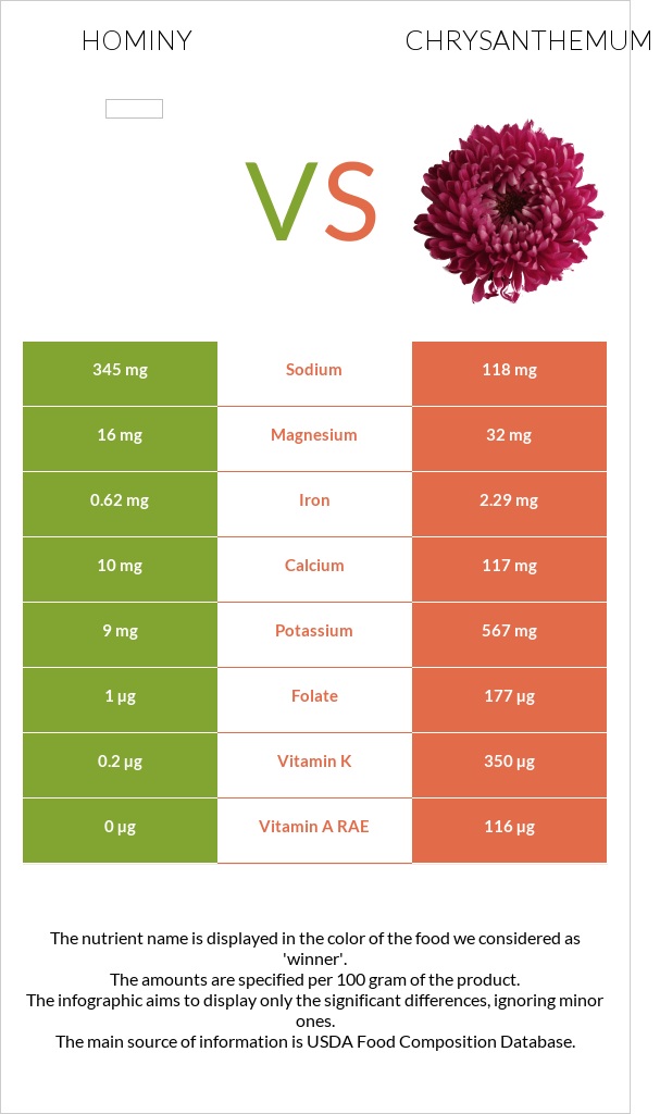 Hominy vs Քրիզանթեմ infographic