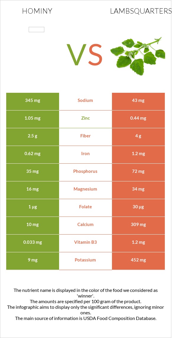 Hominy vs Lambsquarters infographic