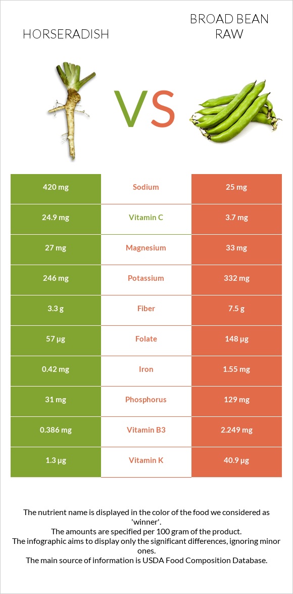 Horseradish vs Broad bean raw infographic