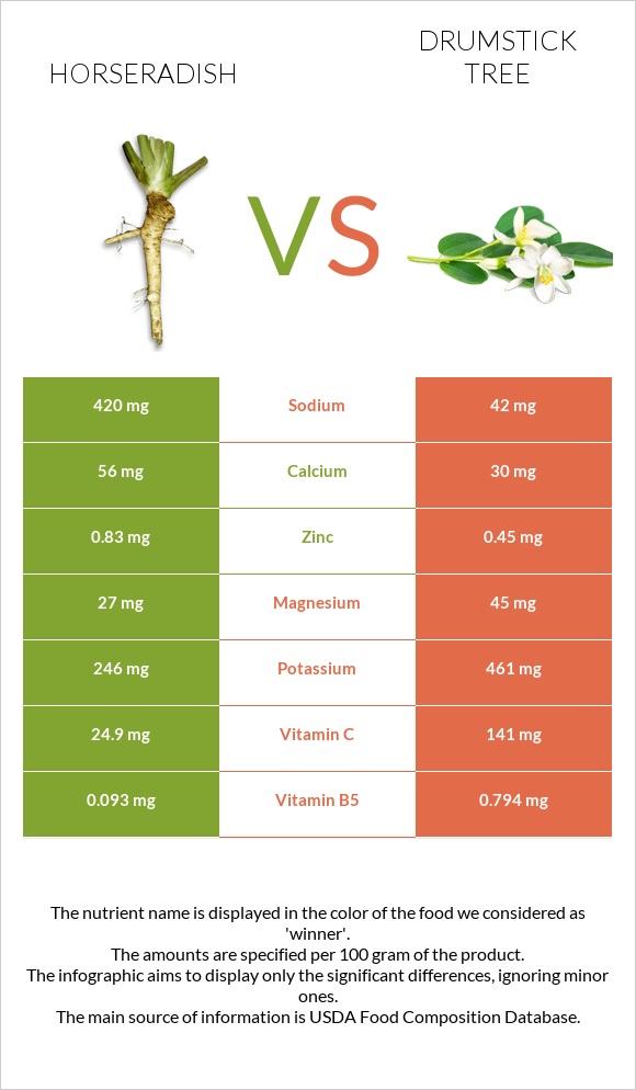 Horseradish vs Drumstick tree infographic