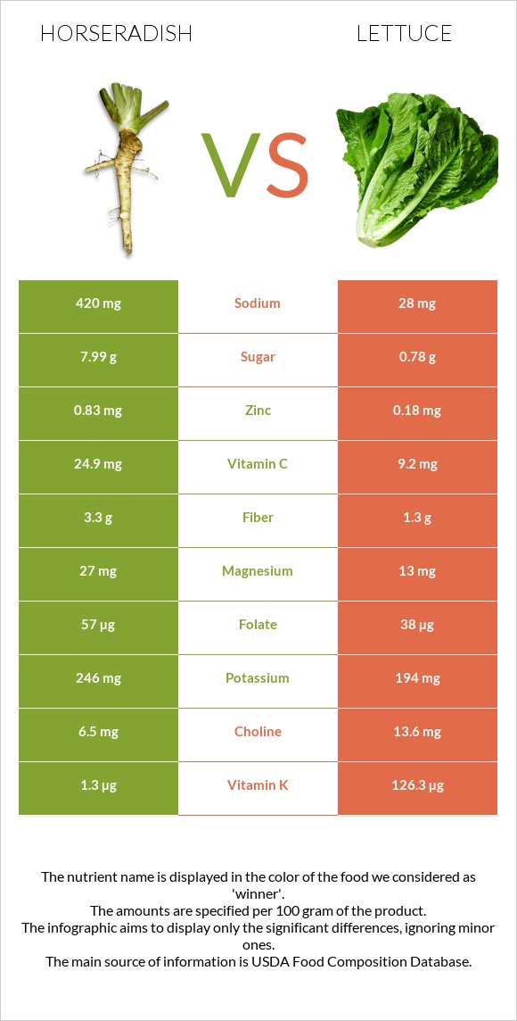 Horseradish vs Lettuce infographic