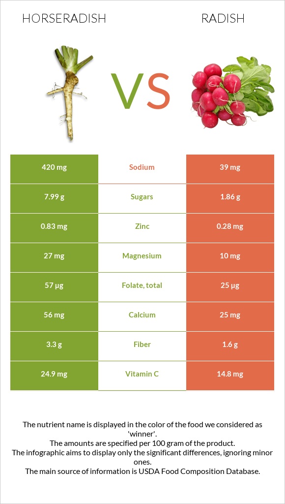 Horseradish vs Radish infographic