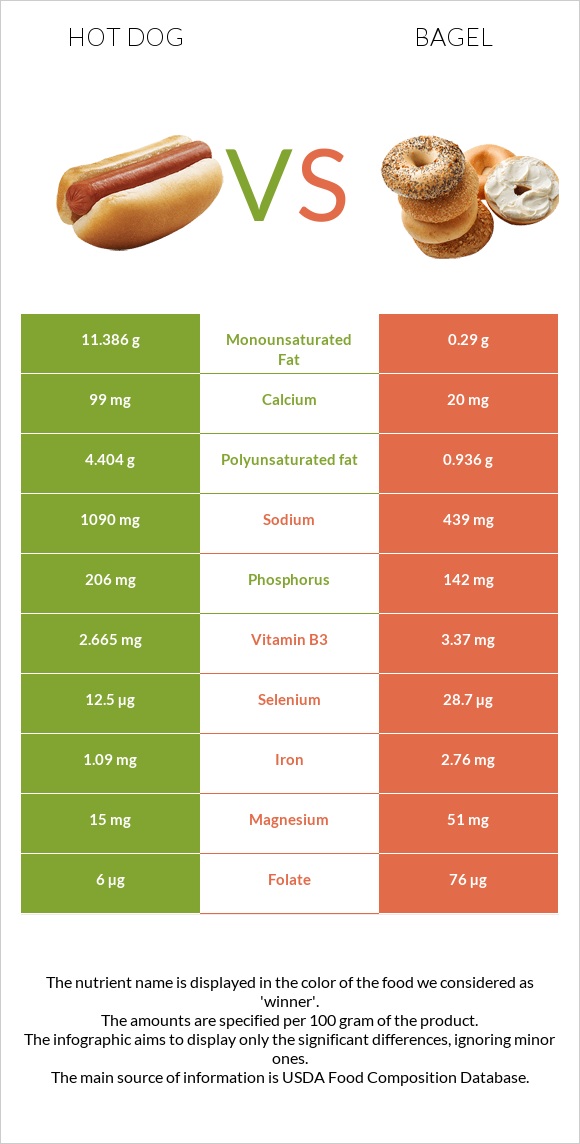 Hot dog vs Bagel infographic