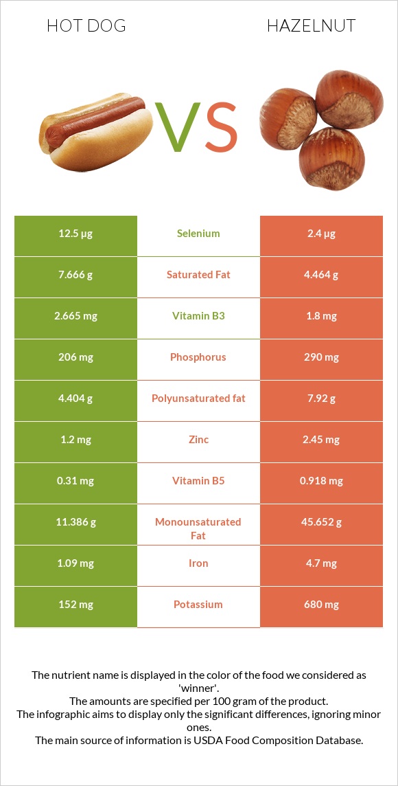 Hot dog vs Hazelnut infographic