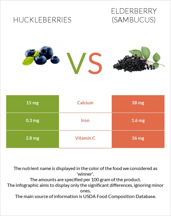 Huckleberries vs Elderberry infographic