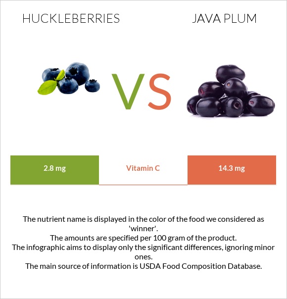 Huckleberries vs Java plum infographic