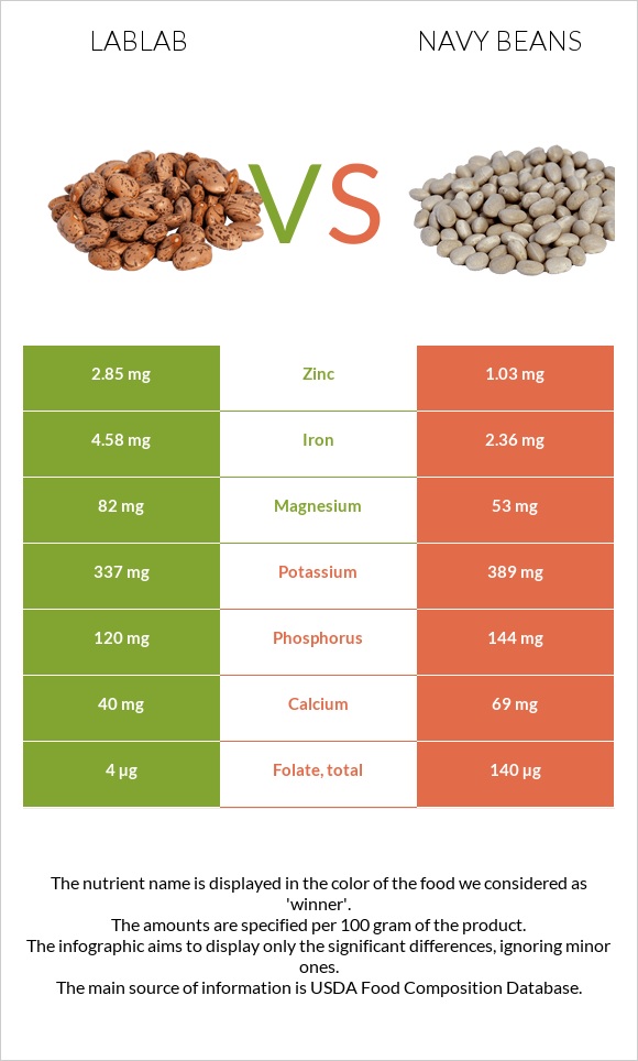 Lablab vs Navy beans infographic