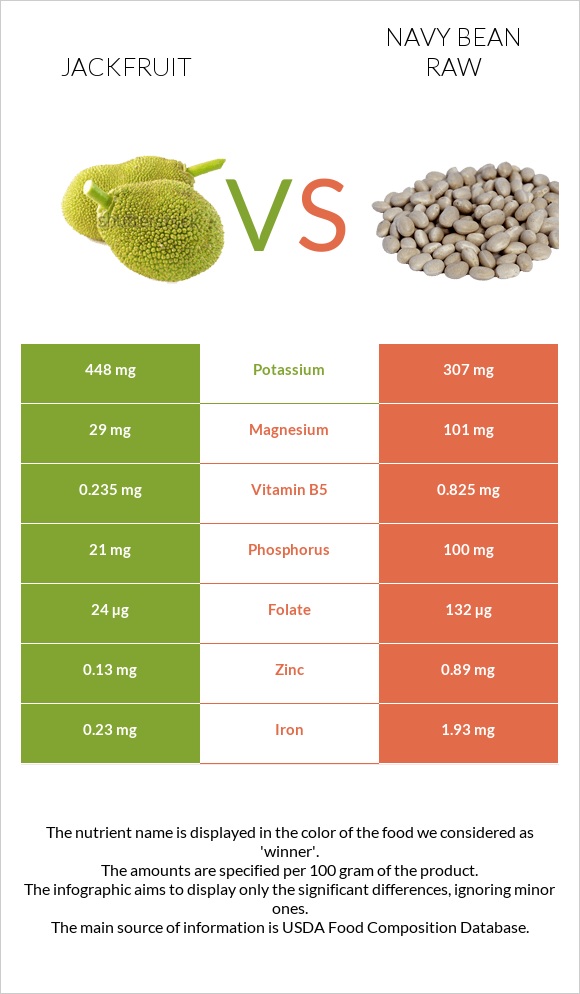 Jackfruit vs Navy bean raw infographic
