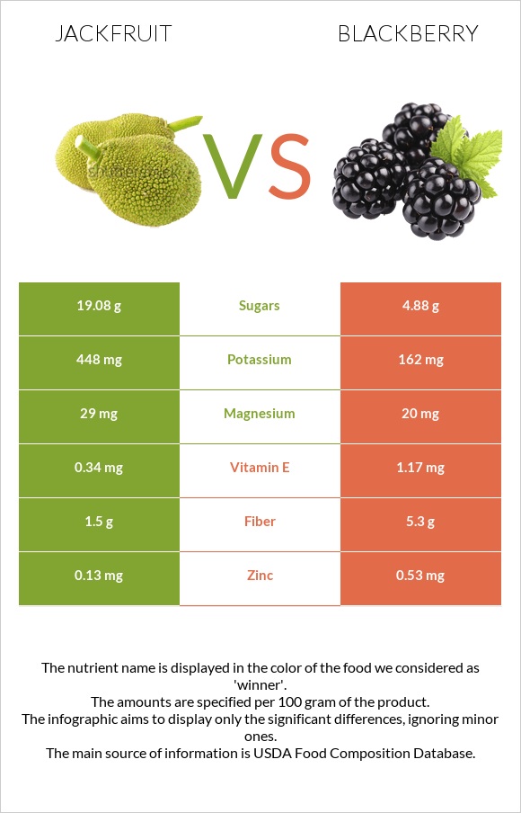 Jackfruit vs Blackberry infographic