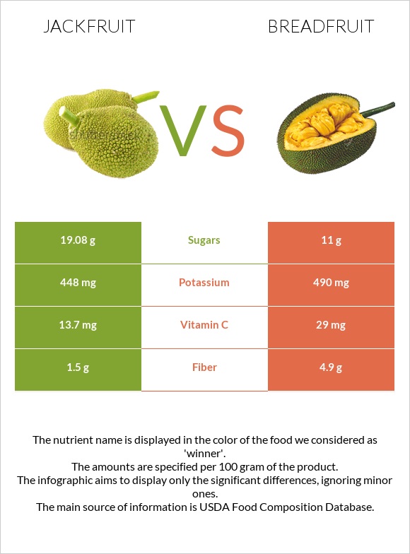 Jackfruit vs Breadfruit infographic