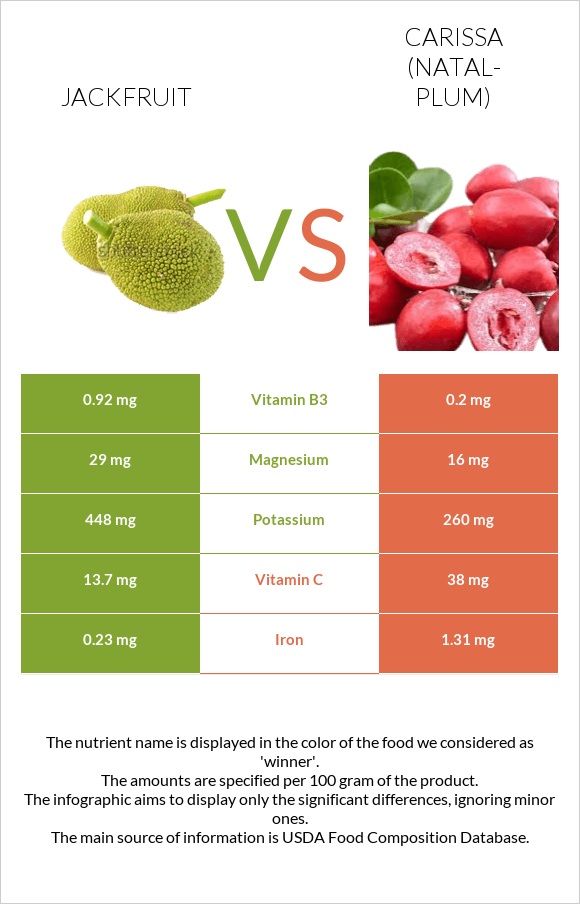 Jackfruit vs Carissa (natal-plum) infographic