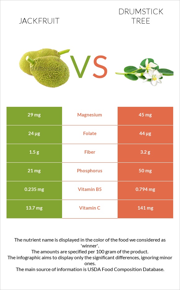 Jackfruit vs Drumstick tree infographic