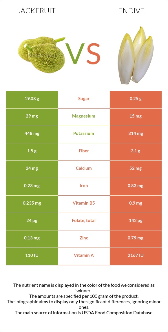 Jackfruit vs Endive infographic