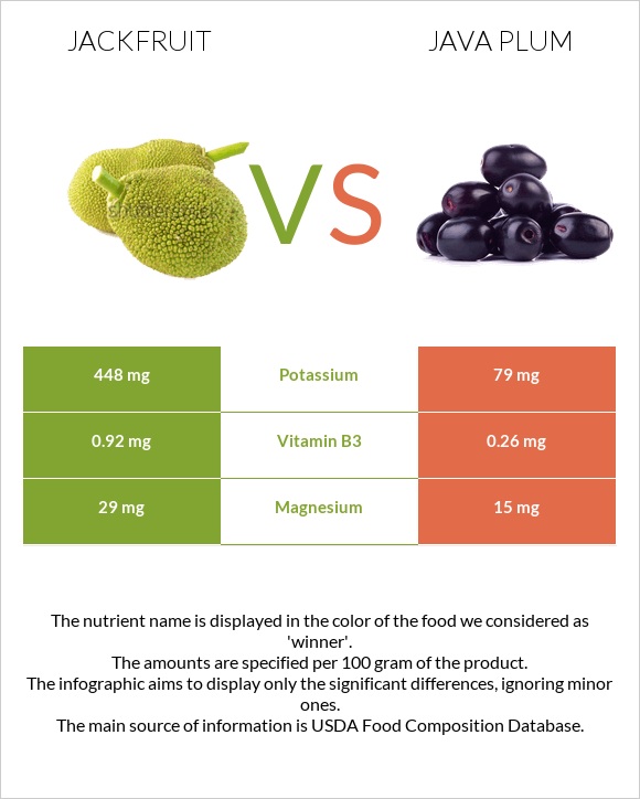 Jackfruit vs Java plum infographic