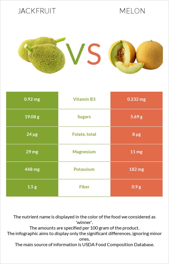 Jackfruit vs Melon infographic