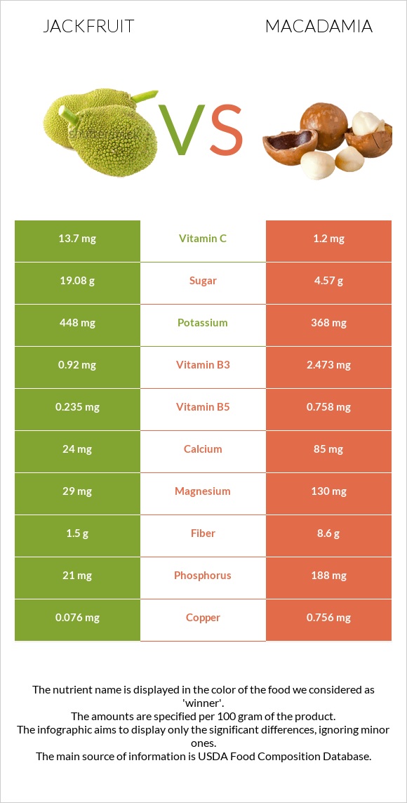 Ջեկֆրուտ vs Մակադամիա infographic