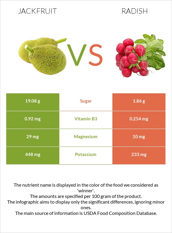 Jackfruit vs Radish infographic