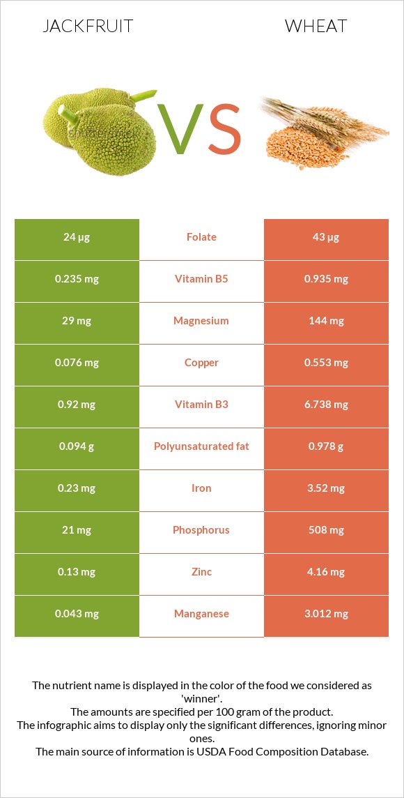 Jackfruit vs Wheat  infographic