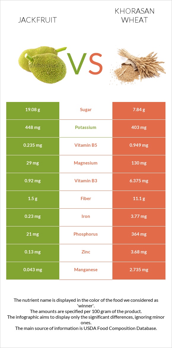 Jackfruit vs Khorasan wheat infographic