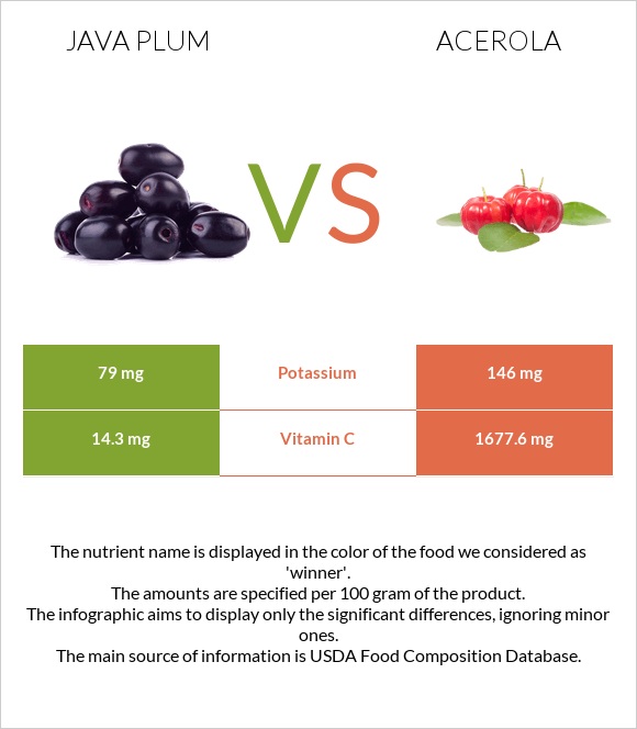 Java plum vs Ակերոլա infographic