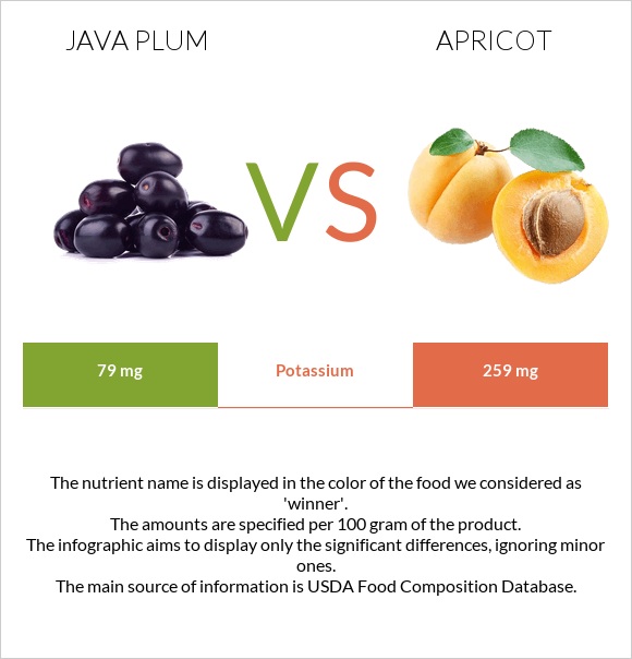 Java plum vs Ծիրան infographic