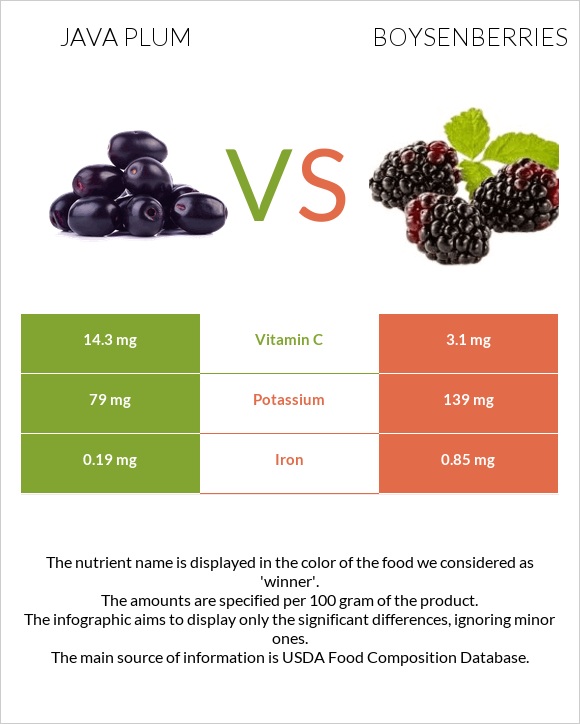 Java plum vs Բոյզենբերրի infographic