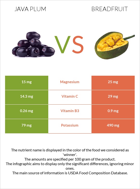 Java plum vs Breadfruit infographic
