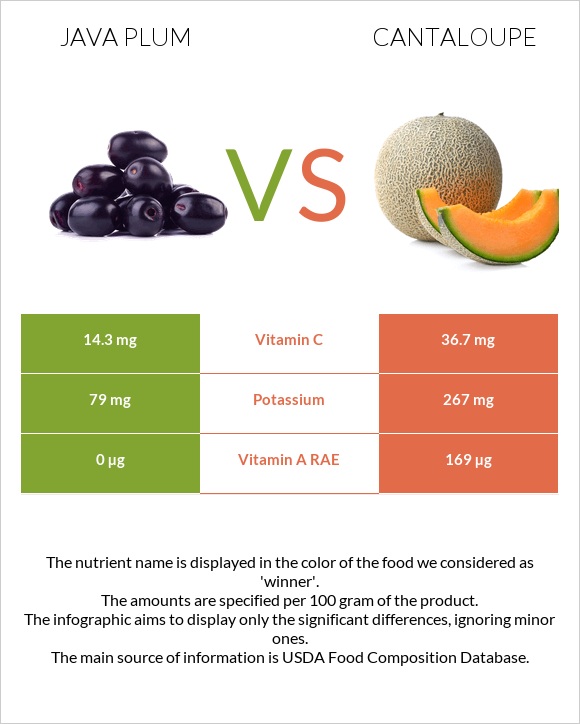 Java plum vs Կանտալուպ infographic