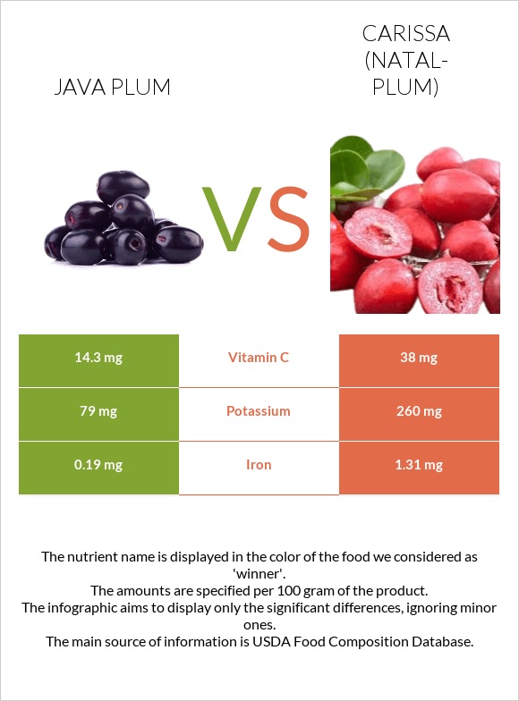 Java plum vs Carissa (natal-plum) infographic