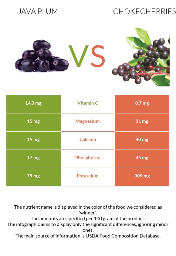 Java plum vs Chokecherries infographic