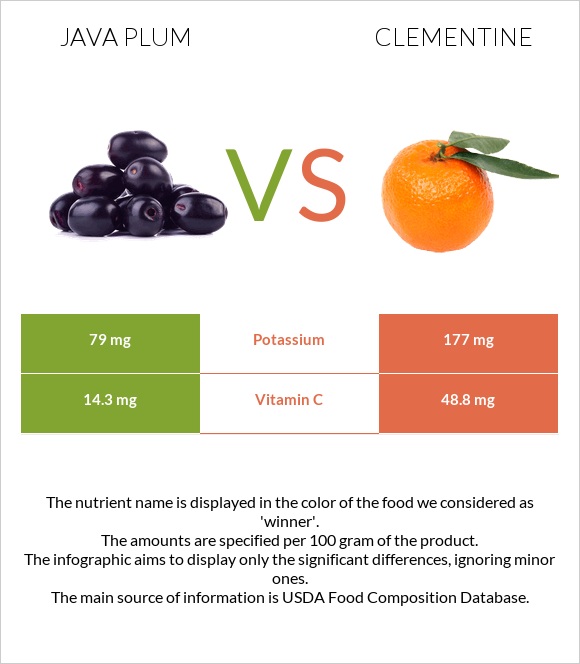 Java plum vs Clementine infographic