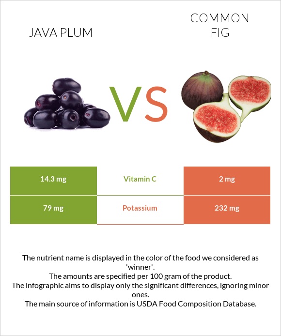 Java plum vs Figs infographic