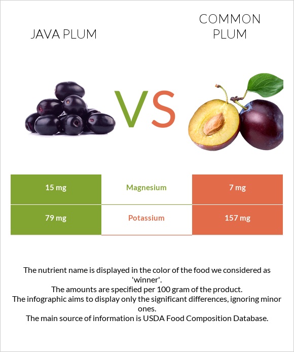 Java plum vs Սալոր infographic