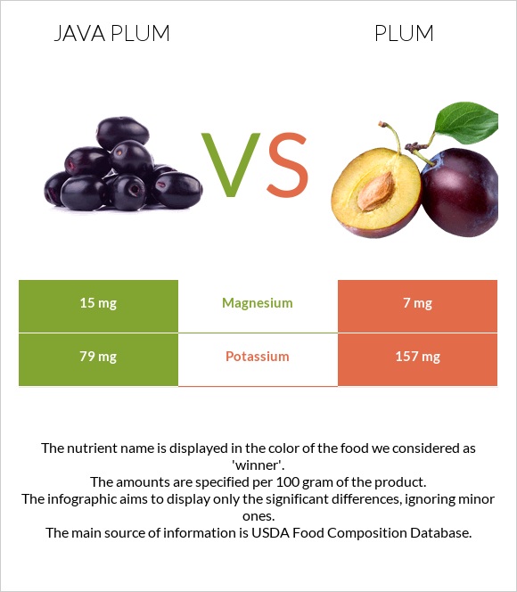 Java plum vs Plum infographic