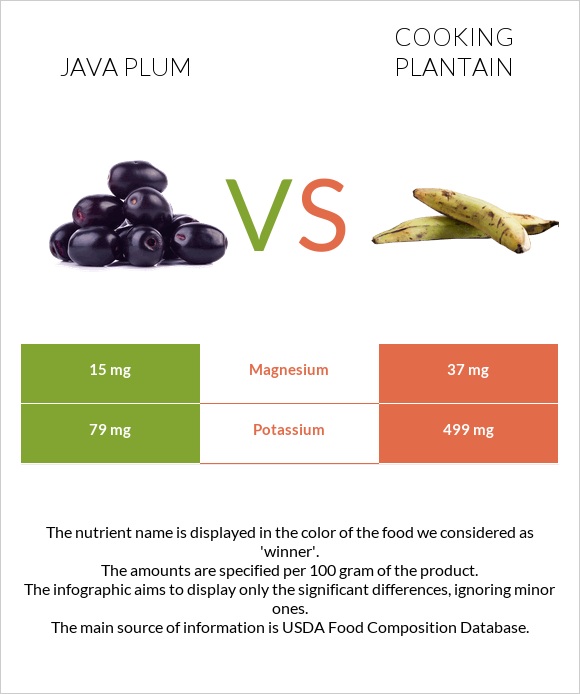 Java plum vs Plantain infographic