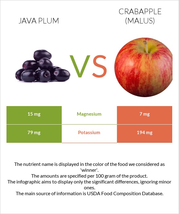 Java plum vs Crabapple (Malus) infographic