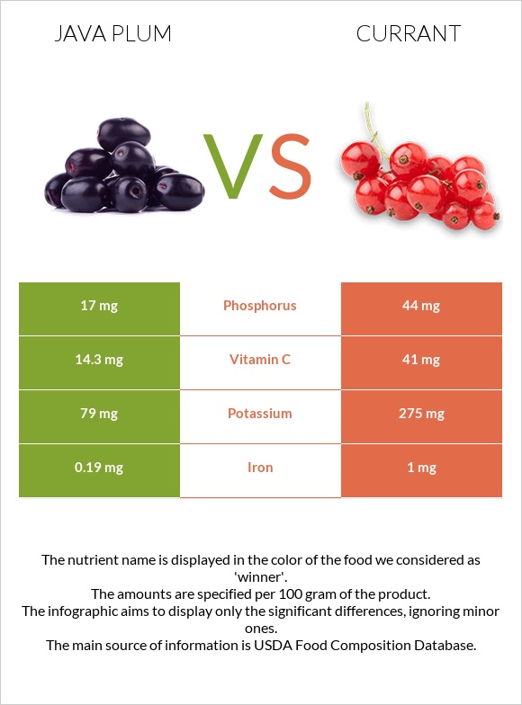 Java plum vs Currant infographic