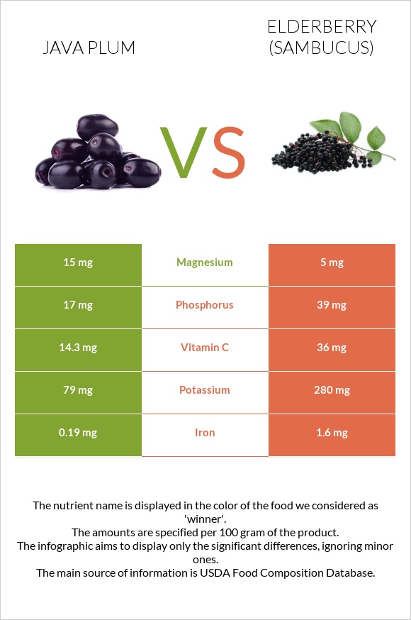 Java plum vs Elderberry infographic