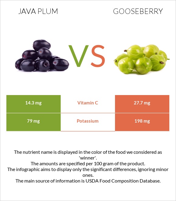 Java plum vs Gooseberry infographic