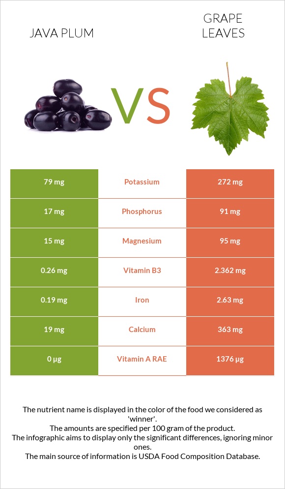 Java plum vs Grape leaves infographic