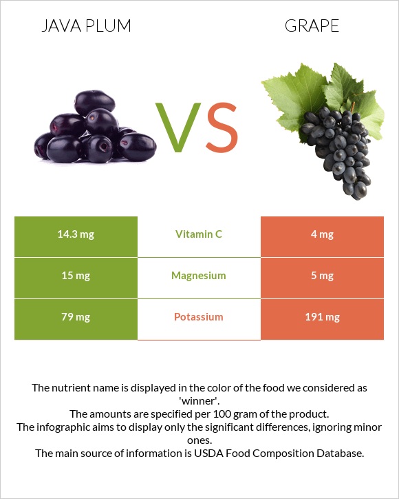 Java plum vs Խաղող infographic