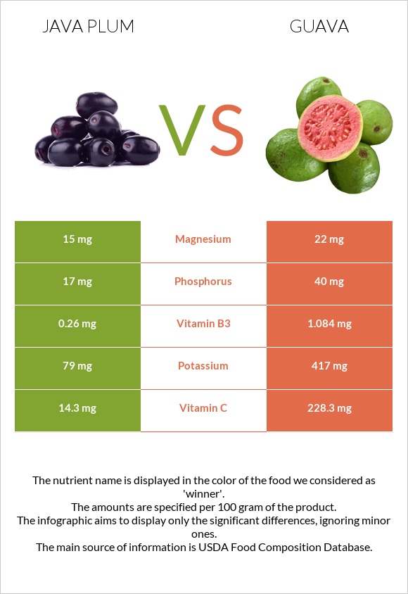 Java plum vs Գուավա infographic