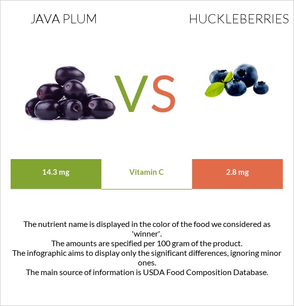 Java plum vs Huckleberries infographic