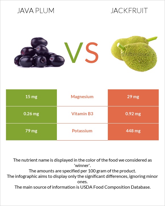 Java plum vs Jackfruit infographic