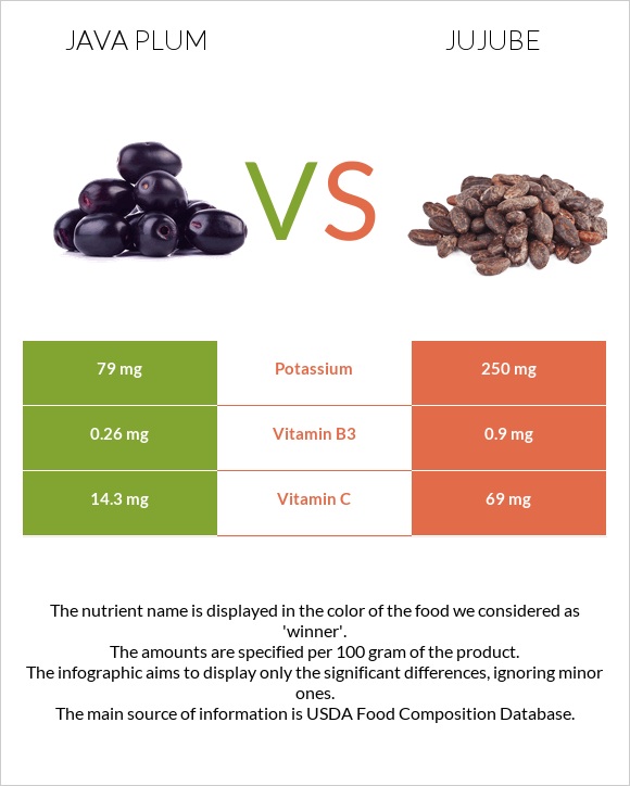 Java plum vs Jujube infographic