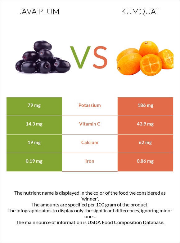 Java plum vs Kumquat infographic