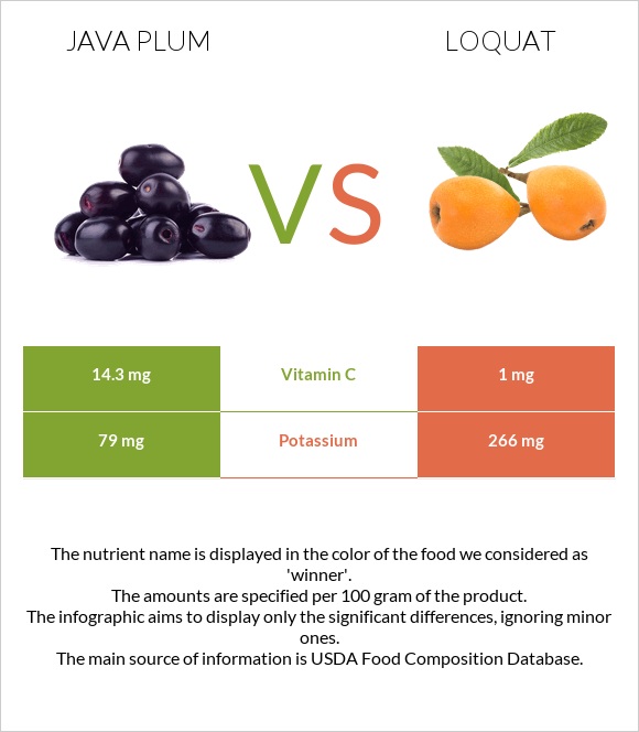 Java plum vs Loquat infographic