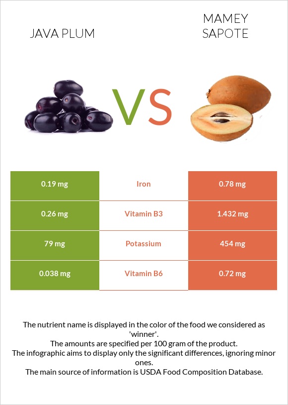 Java plum vs Mamey Sapote infographic